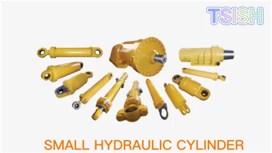 Cylindre hydraulique à double effet en titane Micro Piston